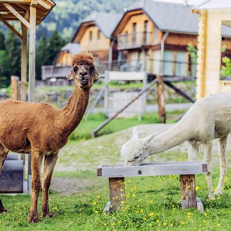 Alpenchalet Alpakablick Sankt Lorenzen ob Murau Buitenkant foto